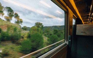 62cd9b12065047aca2ea1cea69d1388b